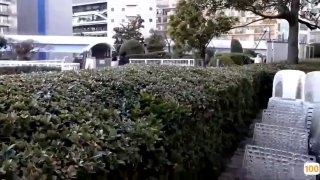 亚洲AV.中国队亚洲杯日本免费一区香蕉视频,亚洲毛片免费一级,国产在线精品一区亚洲毛片免费一级,国产在线精品一区二区不卡麻豆